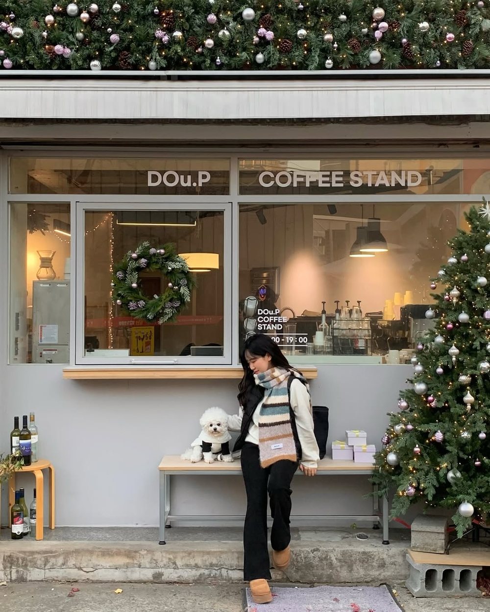 트리 앞에서 강아지를 안고 있는 보호자
